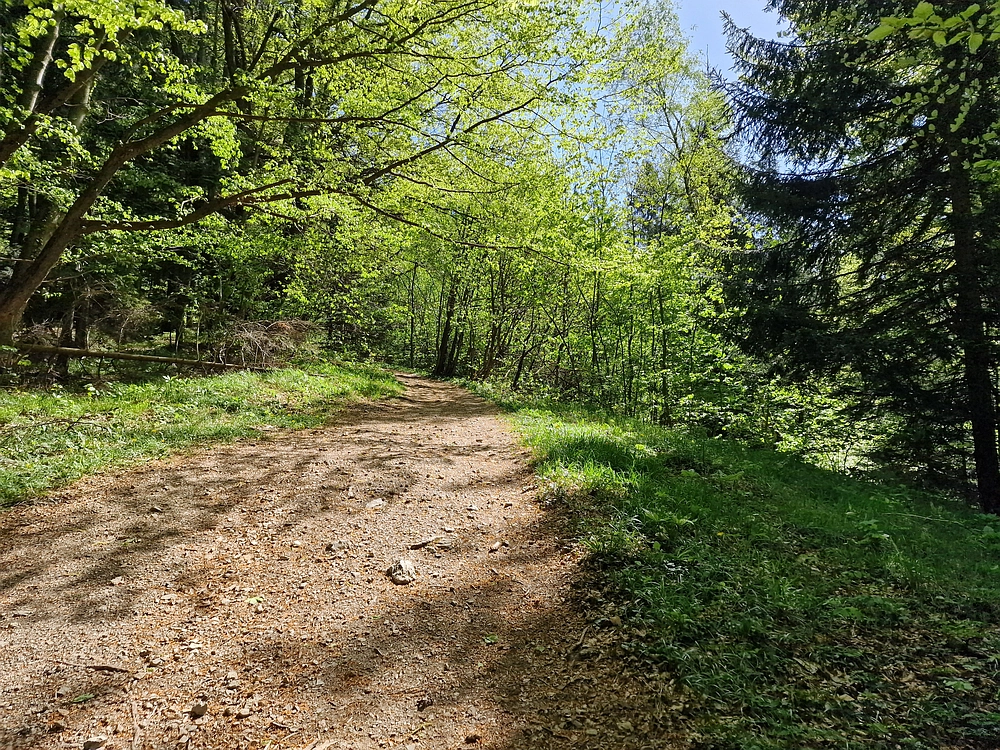 Slika je vidna v Google Chromu.