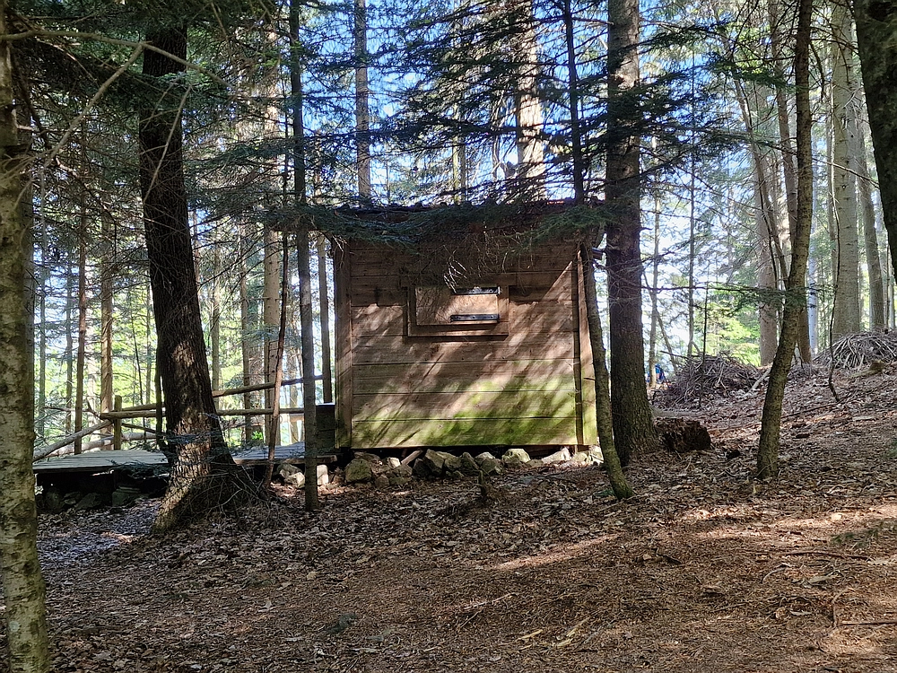 Slika je vidna v Google Chromu.