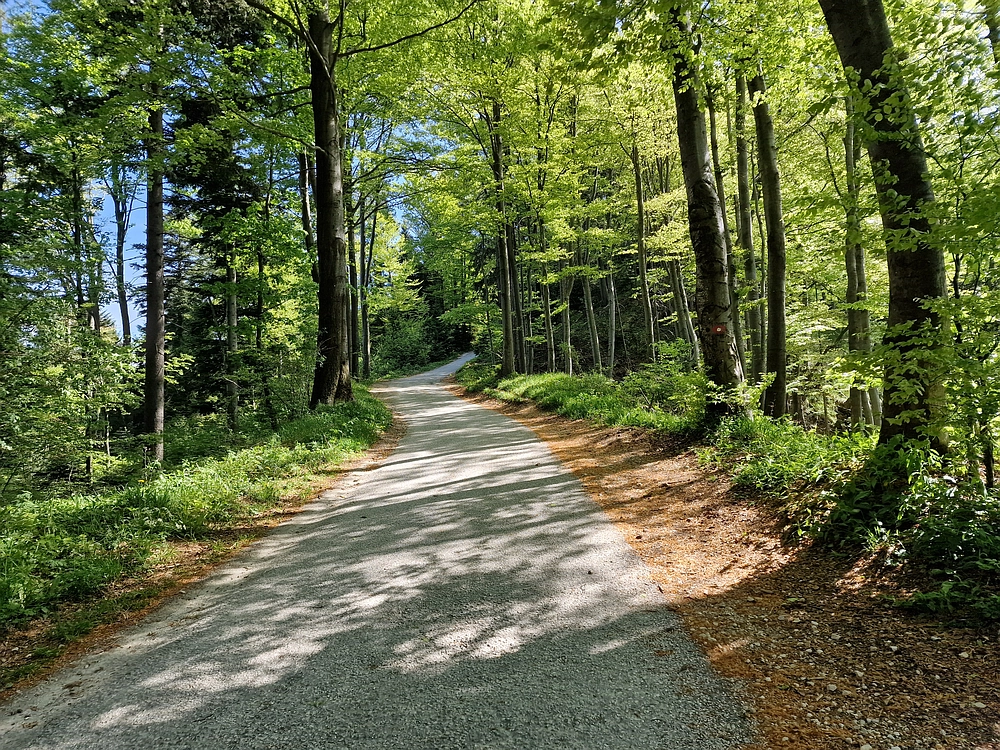 Slika je vidna v Google Chromu.