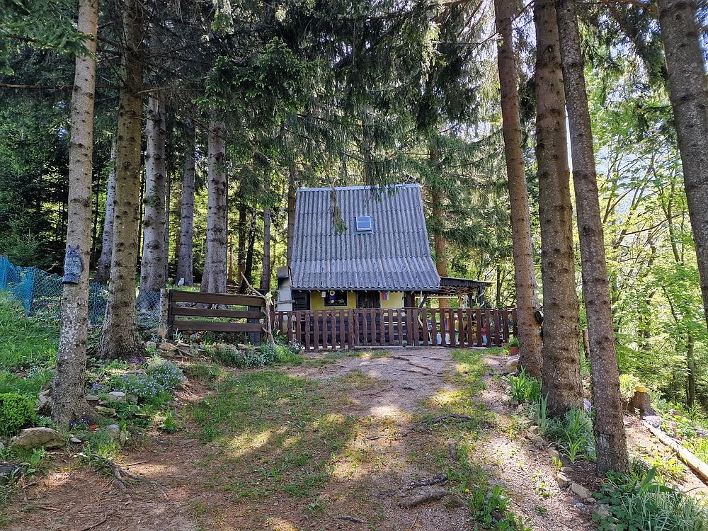 Slika je vidna v Google Chromu.