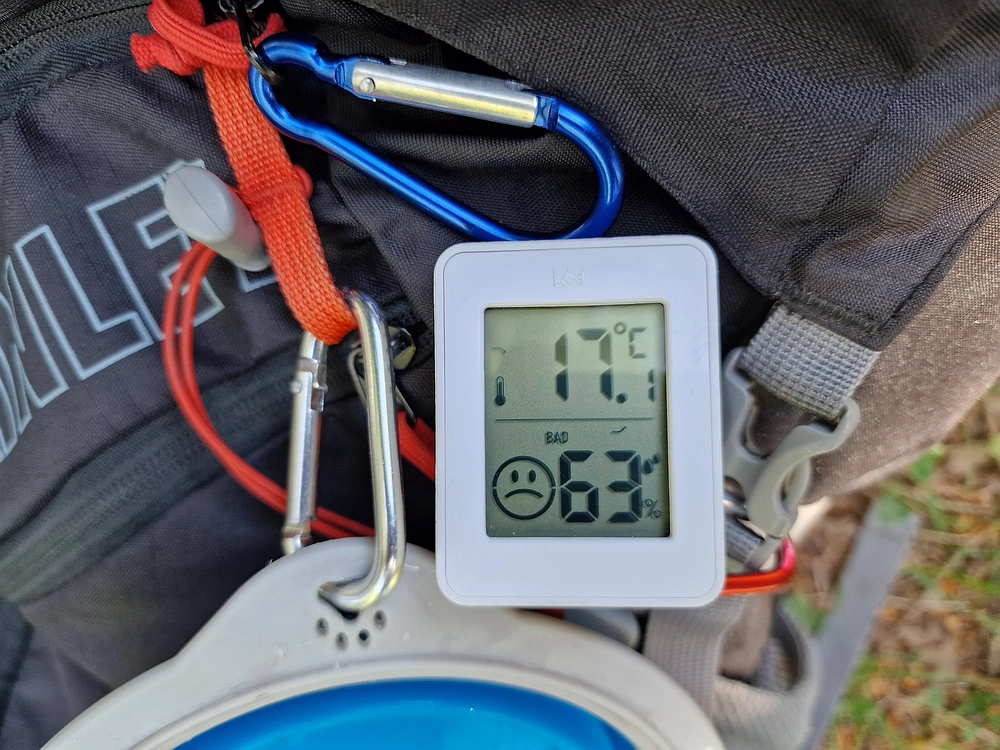 Slika je vidna v Google Chromu.