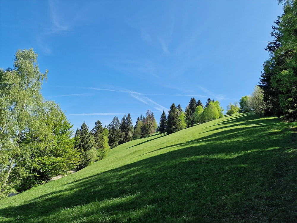 Slika je vidna v Google Chromu.
