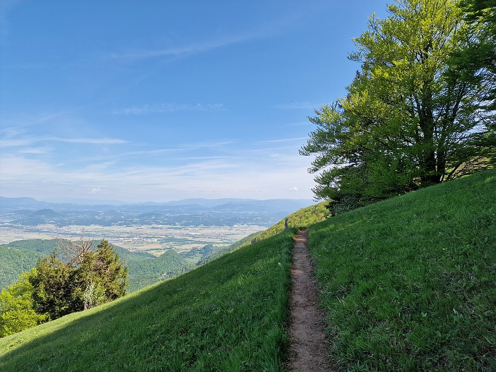 Slika je vidna v Google Chromu.