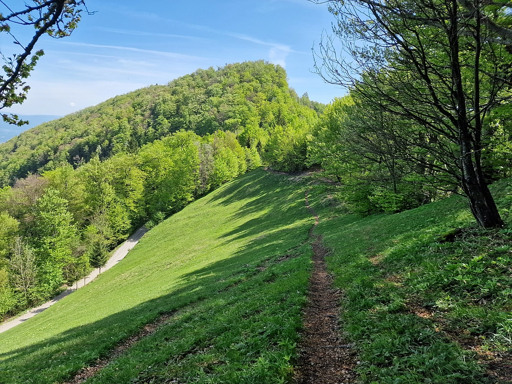 Slika je vidna v Google Chromu.