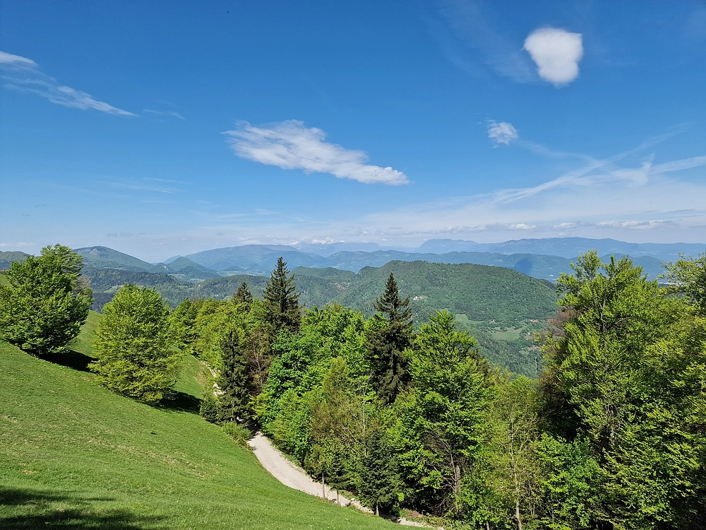 Slika je vidna v Google Chromu.
