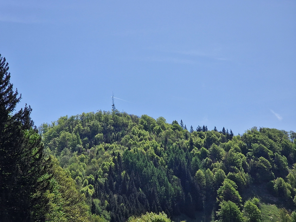 Slika je vidna v Google Chromu.