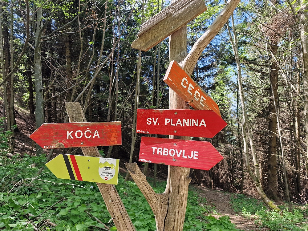 Slika je vidna v Google Chromu.