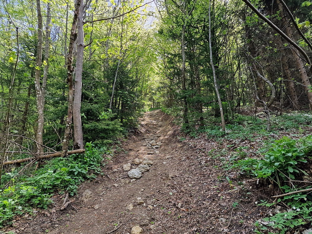 Slika je vidna v Google Chromu.