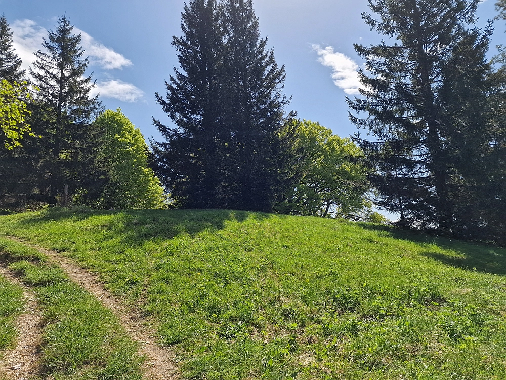 Slika je vidna v Google Chromu.