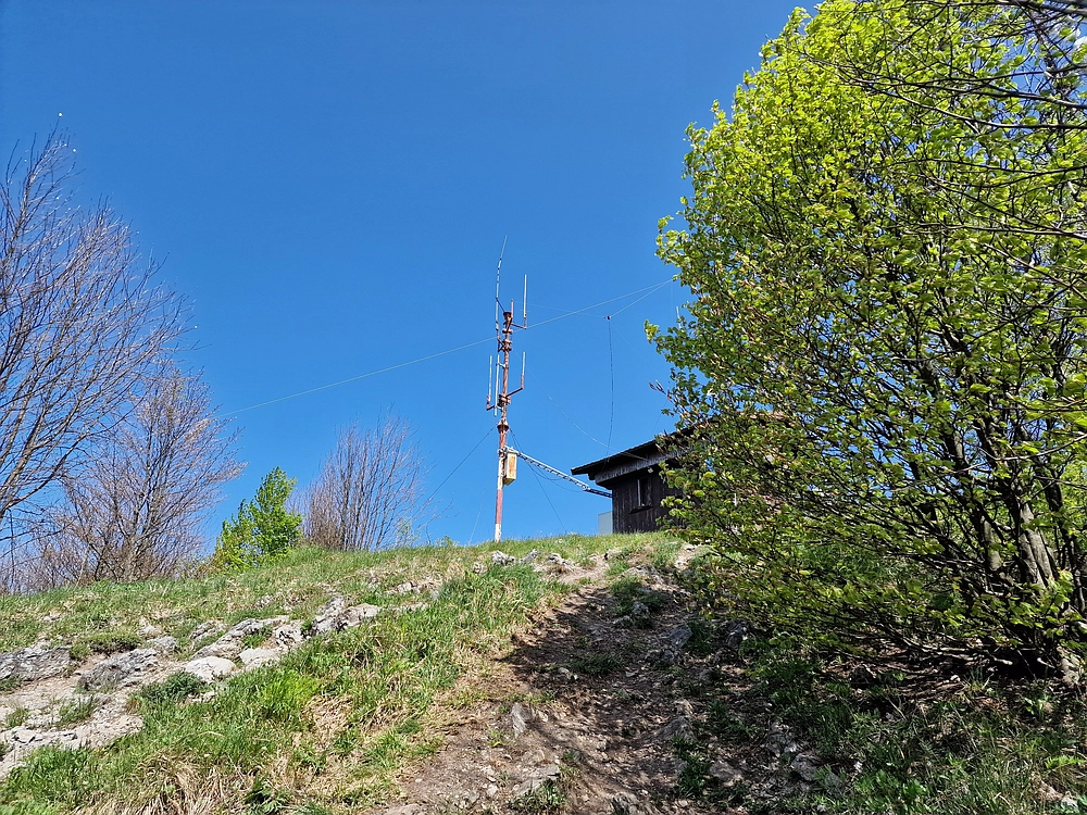 Slika je vidna v Google Chromu.