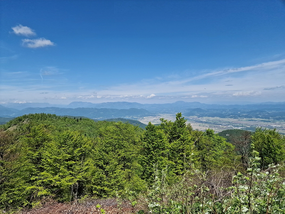 Slika je vidna v Google Chromu.