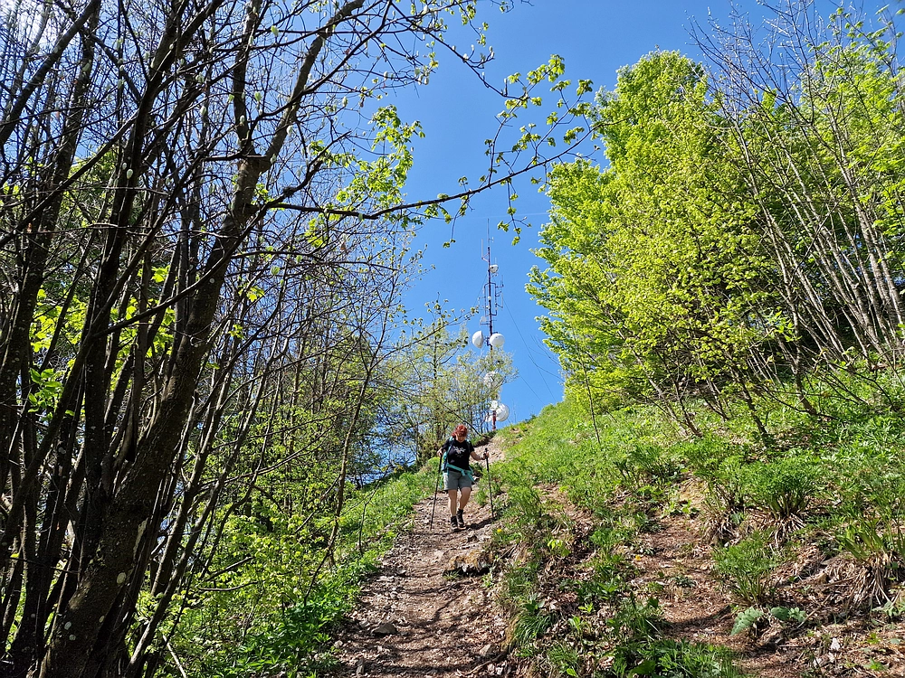 Slika je vidna v Google Chromu.