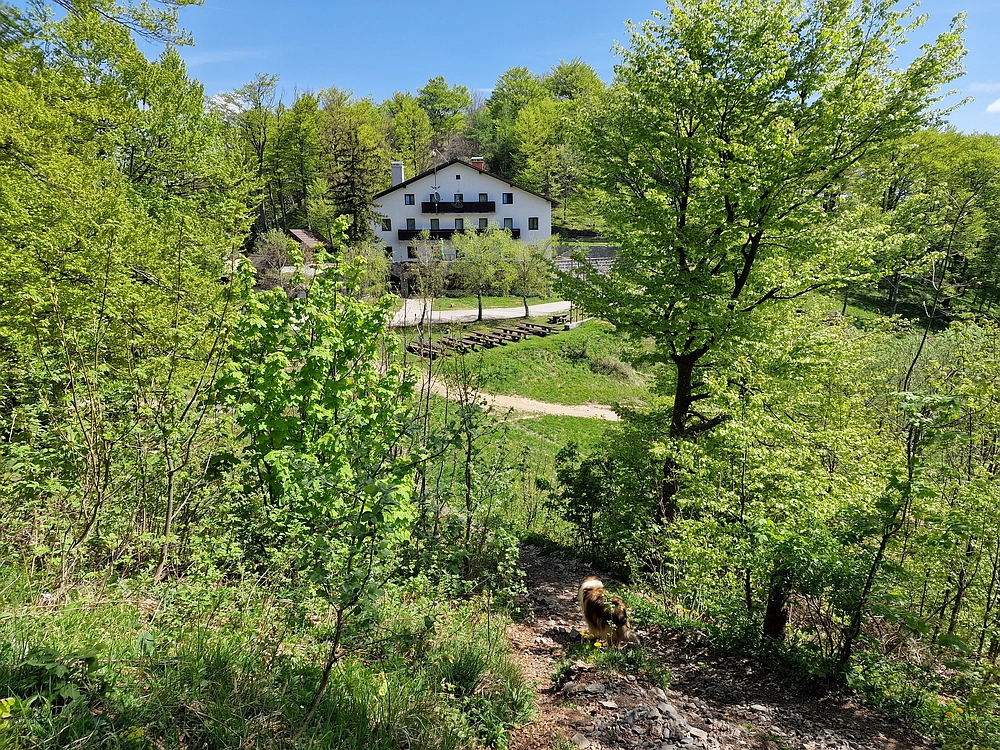 Slika je vidna v Google Chromu.