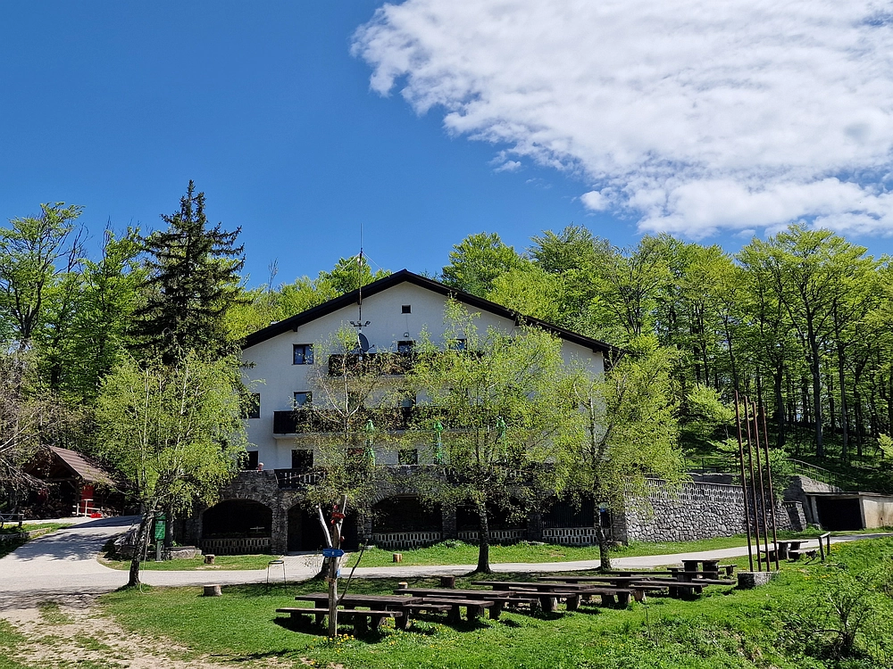 Slika je vidna v Google Chromu.