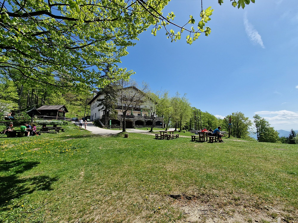 Slika je vidna v Google Chromu.