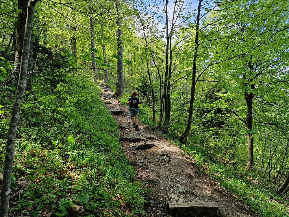 Slika je vidna v Google Chromu.