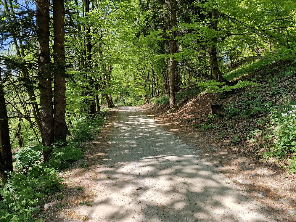 Slika je vidna v Google Chromu.