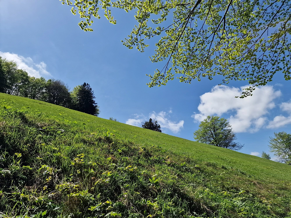 Slika je vidna v Google Chromu.