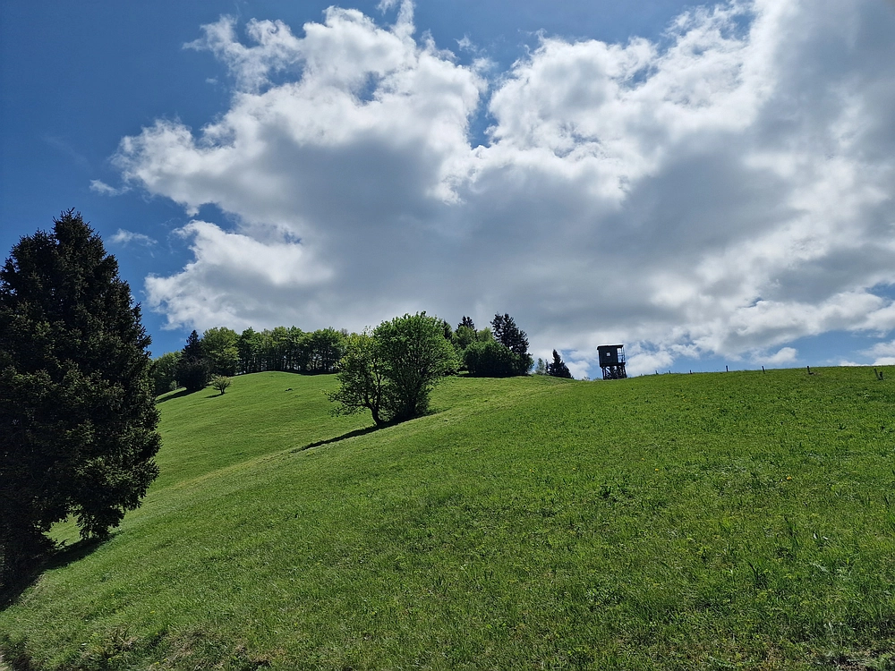 Slika je vidna v Google Chromu.