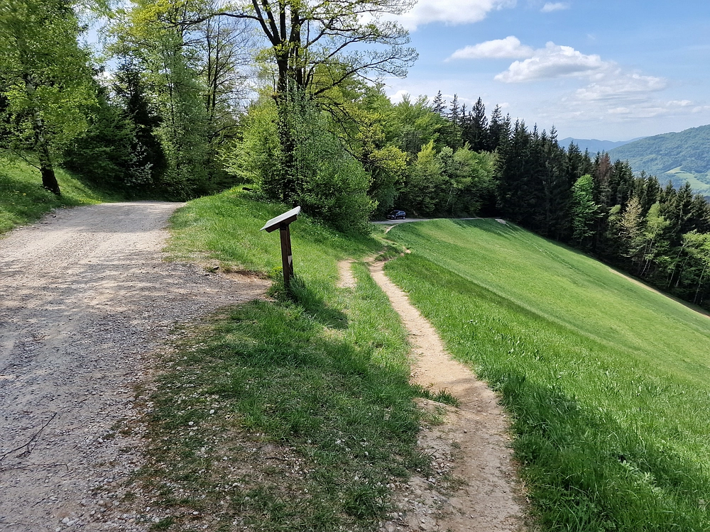 Slika je vidna v Google Chromu.