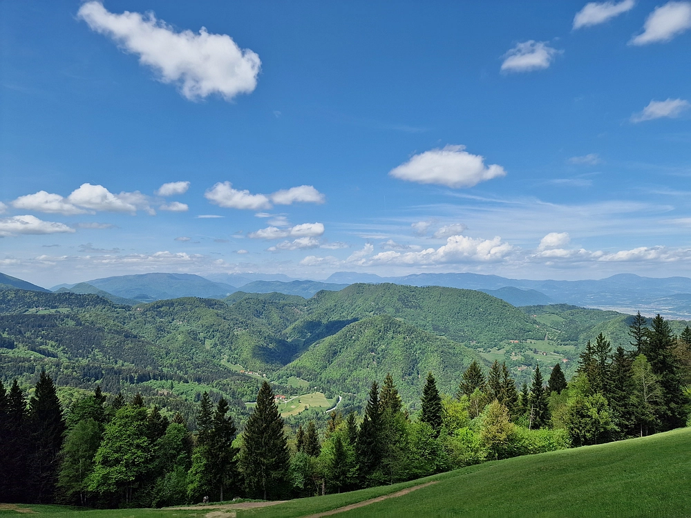 Slika je vidna v Google Chromu.