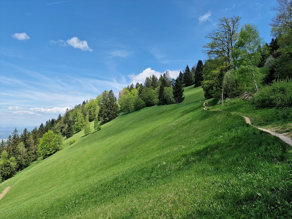 Slika je vidna v Google Chromu.