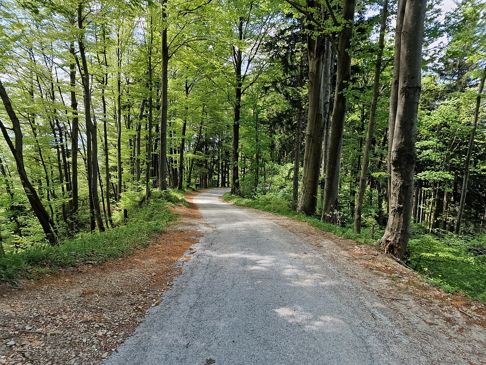 Slika je vidna v Google Chromu.