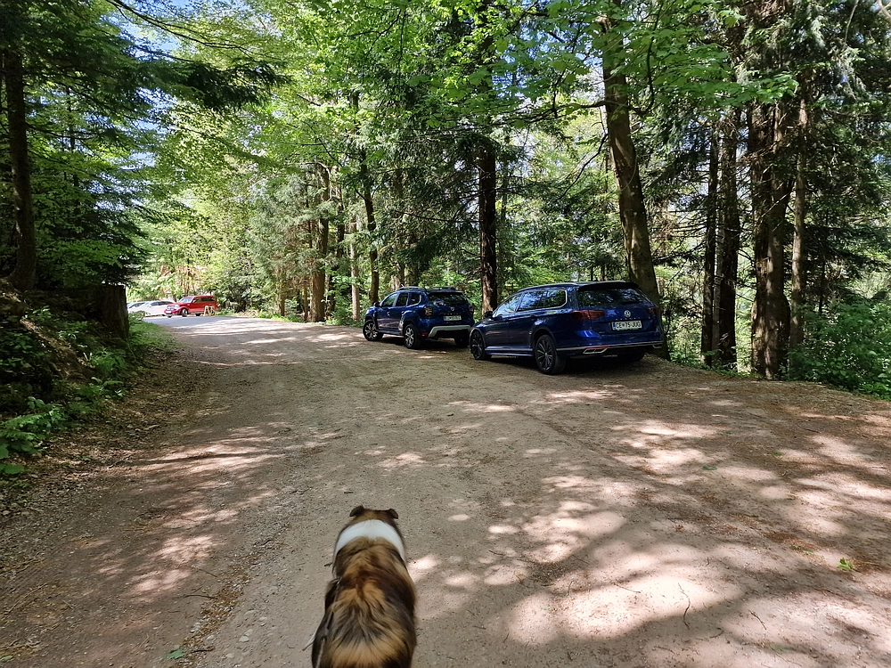 Slika je vidna v Google Chromu.