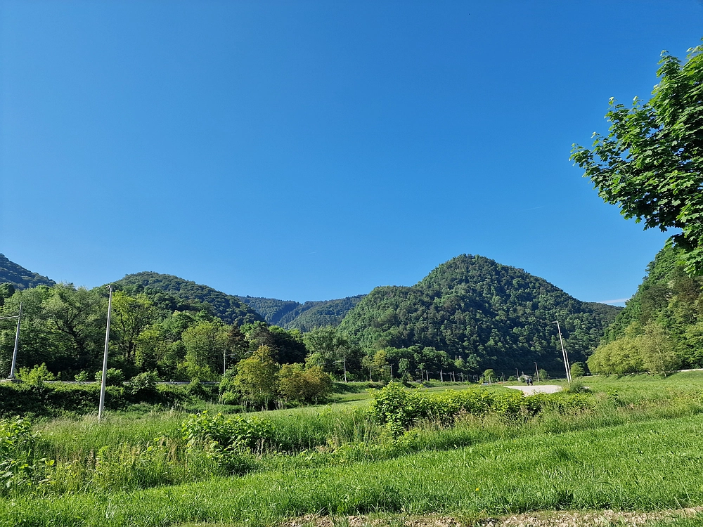 Slika je vidna v Google Chromu.