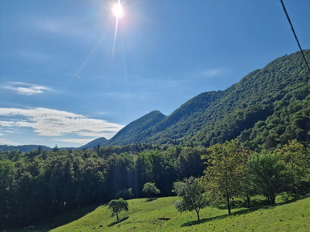 Slika je vidna v Google Chromu.