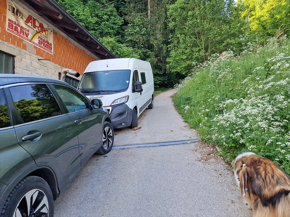 Slika je vidna v Google Chromu.