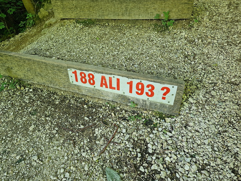 Slika je vidna v Google Chromu.