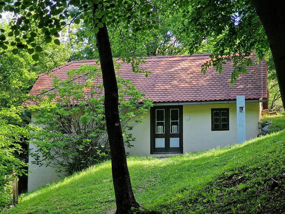 Slika je vidna v Google Chromu.