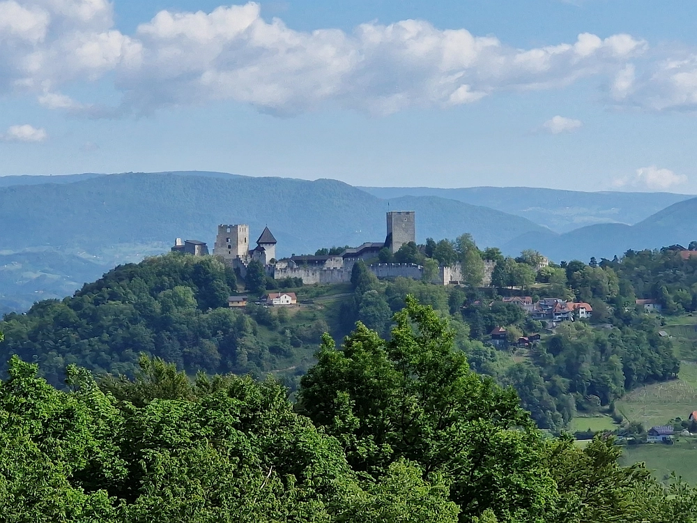 Slika je vidna v Google Chromu.