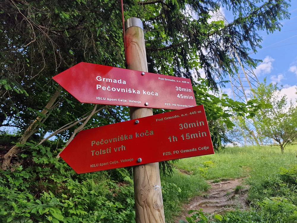 Slika je vidna v Google Chromu.