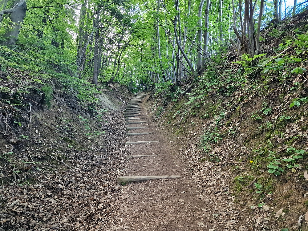 Slika je vidna v Google Chromu.