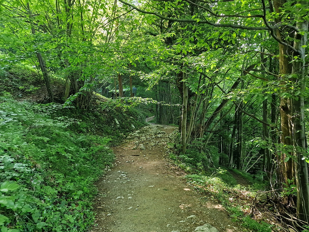 Slika je vidna v Google Chromu.