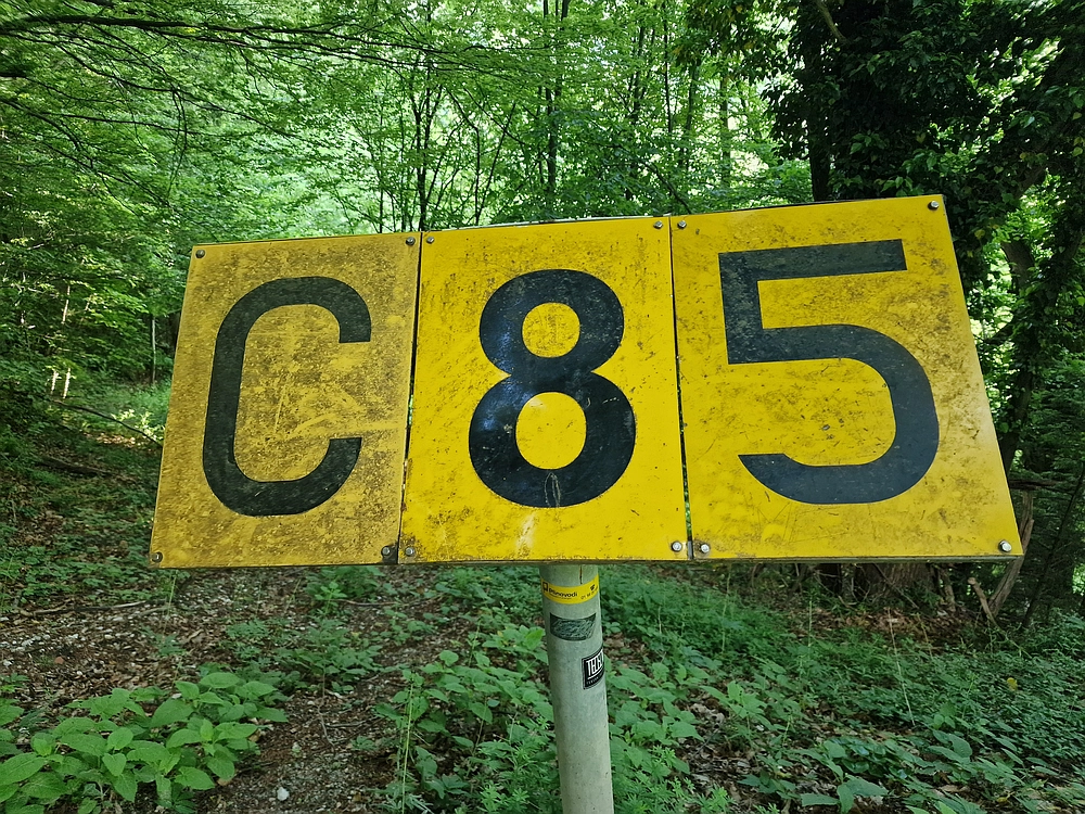 Slika je vidna v Google Chromu.