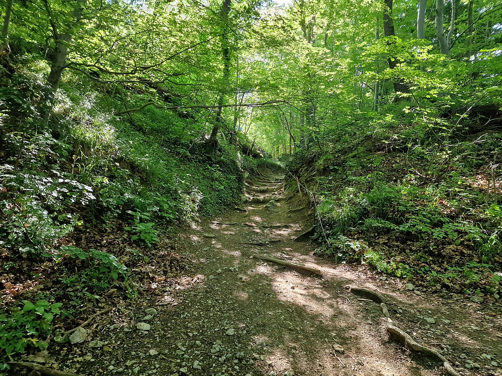Slika je vidna v Google Chromu.