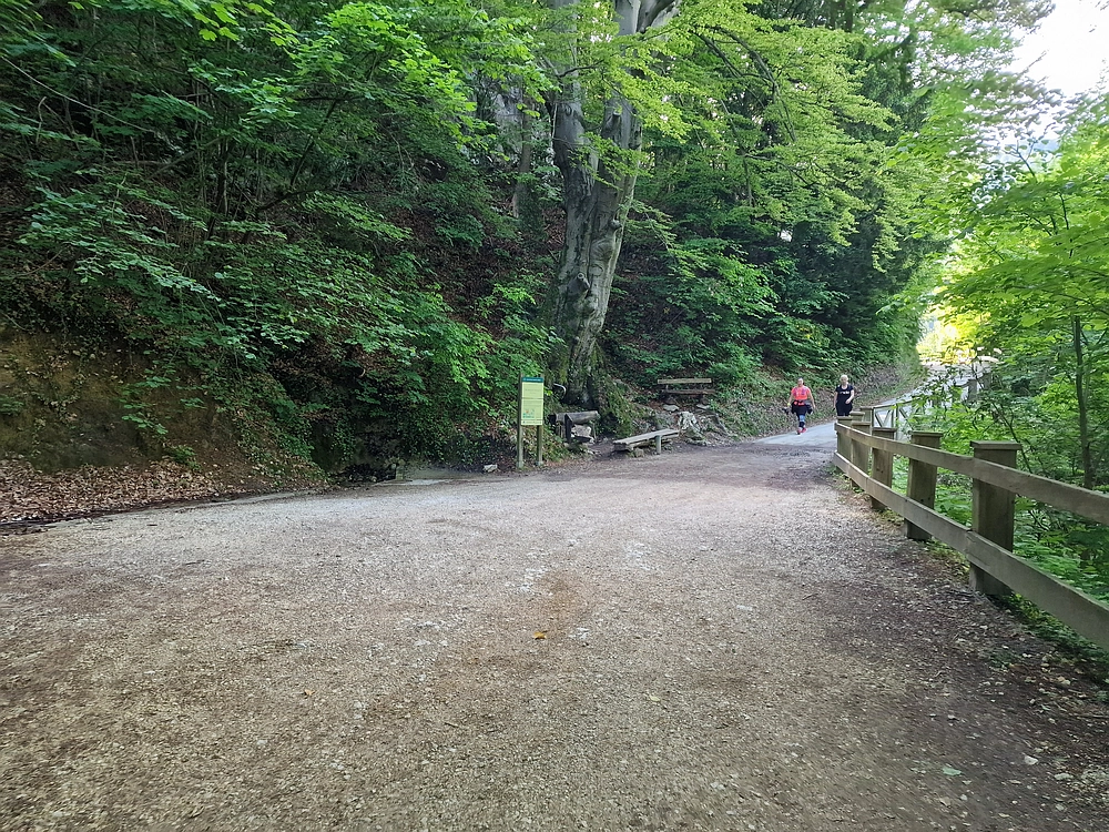 Slika je vidna v Google Chromu.