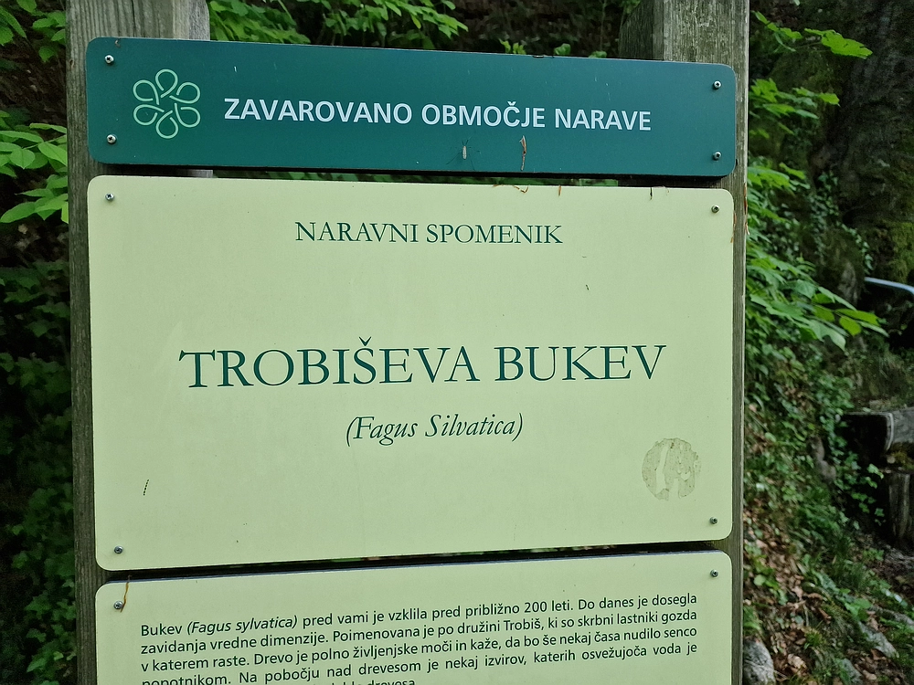 Slika je vidna v Google Chromu.