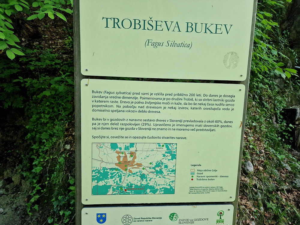 Slika je vidna v Google Chromu.