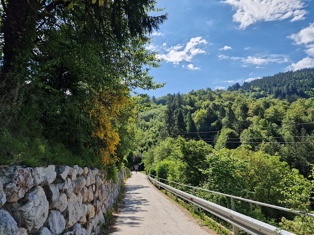 Slika je vidna v Google Chromu.