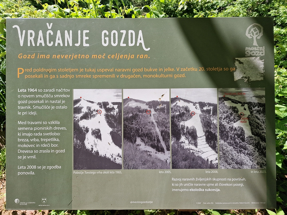 Slika je vidna v Google Chromu.