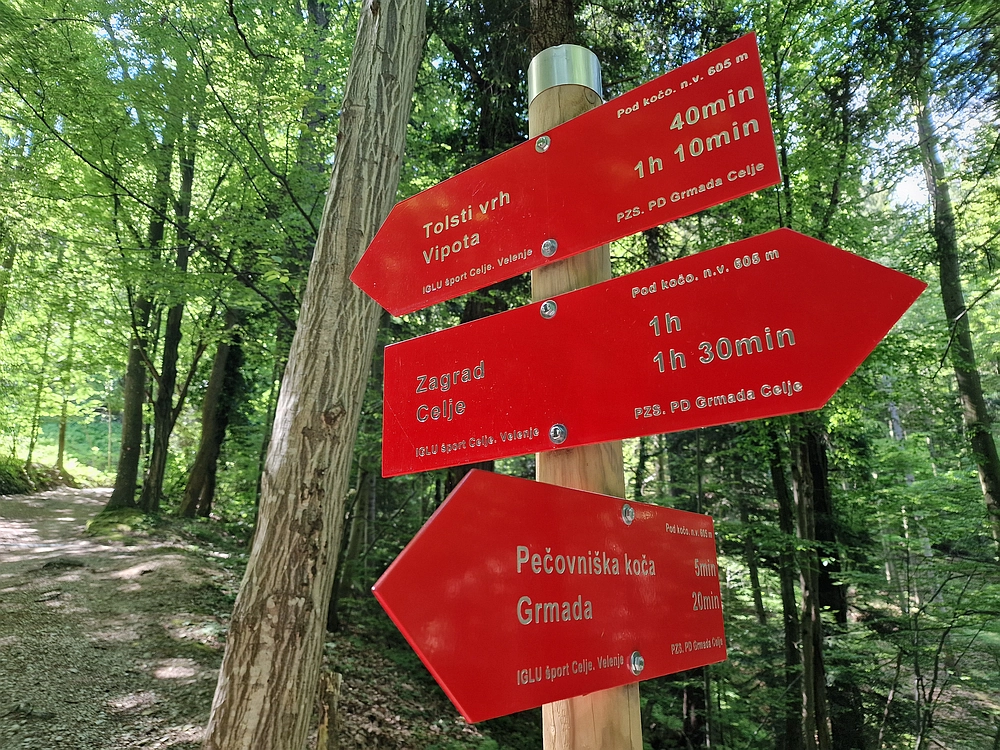 Slika je vidna v Google Chromu.