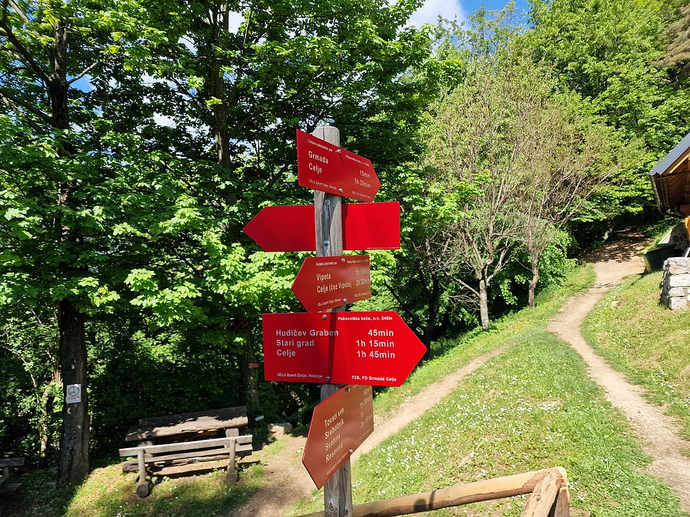 Slika je vidna v Google Chromu.