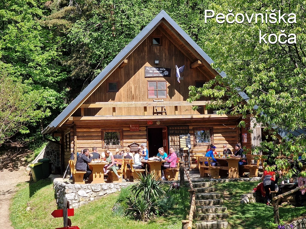 Slika je vidna v Google Chromu.