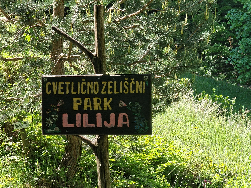 Slika je vidna v Google Chromu.