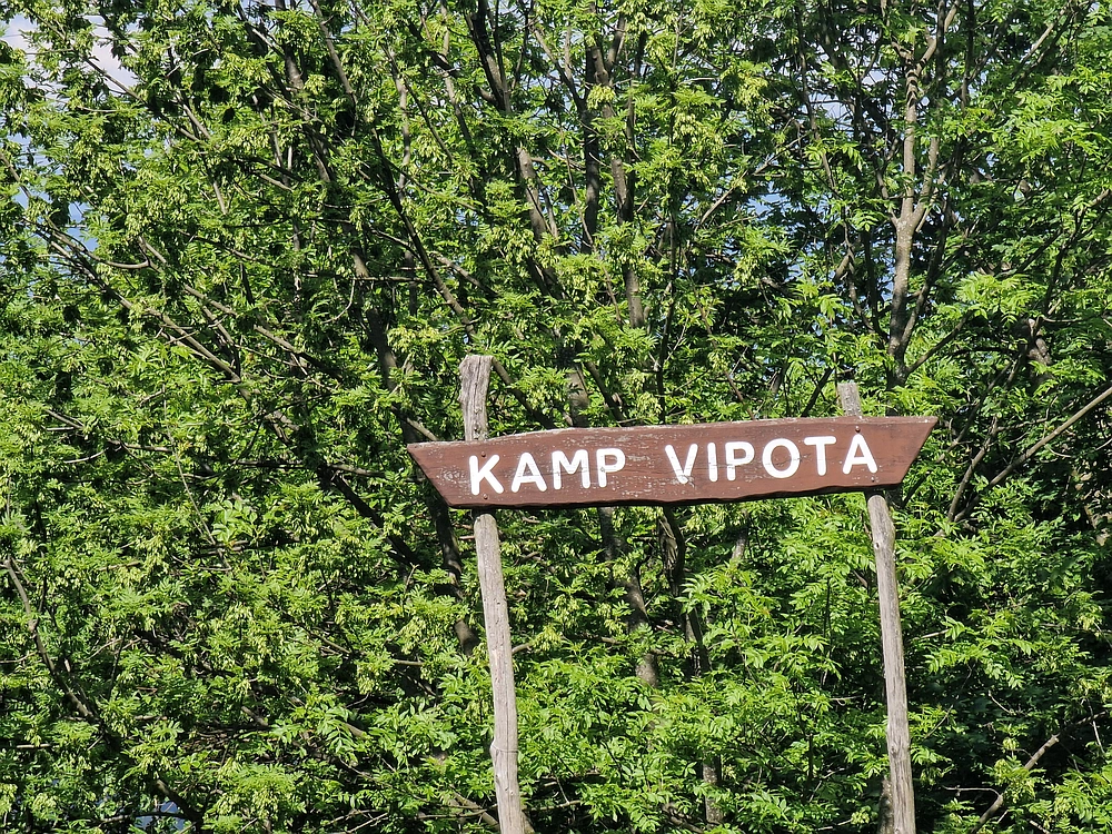 Slika je vidna v Google Chromu.