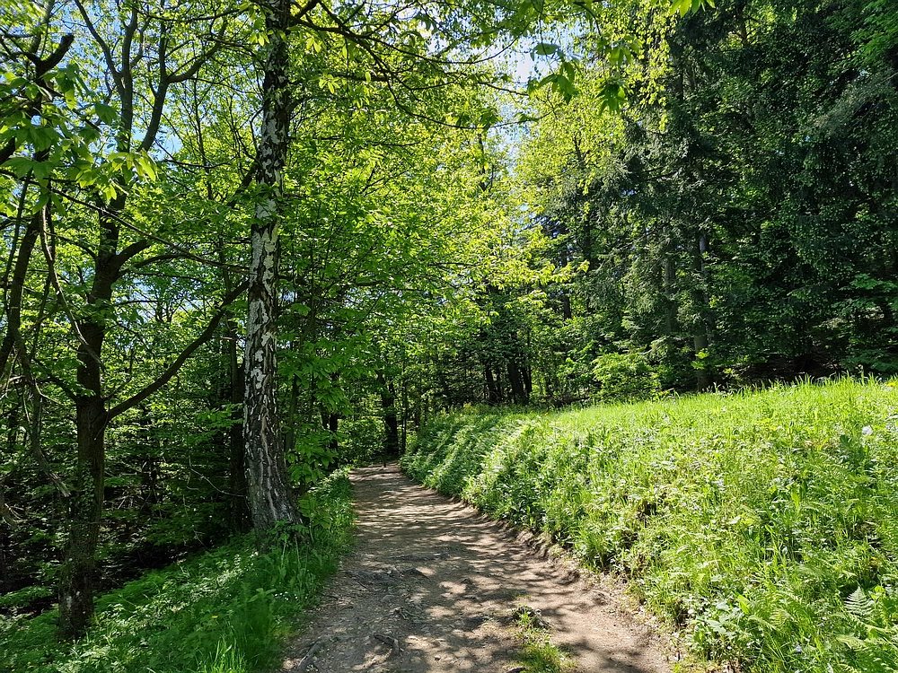 Slika je vidna v Google Chromu.
